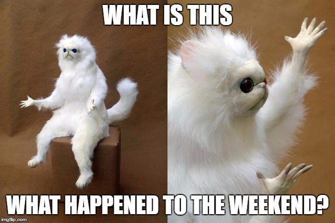 Start of the week blues | WHAT IS THIS; WHAT HAPPENED TO THE WEEKEND? | image tagged in memes,persian cat room guardian,cats | made w/ Imgflip meme maker