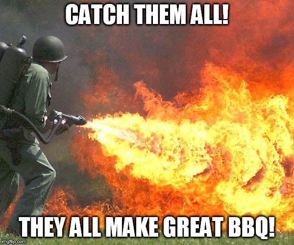 CATCH THEM ALL! THEY ALL MAKE GREAT BBQ! | image tagged in flamethrower | made w/ Imgflip meme maker