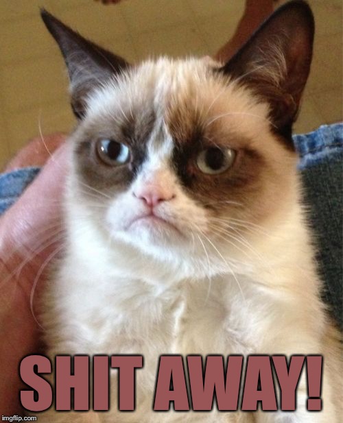 Grumpy Cat Meme | SHIT AWAY! | image tagged in memes,grumpy cat | made w/ Imgflip meme maker