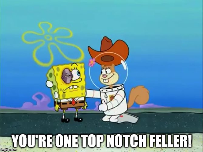 You're One Top Notch Feller! | YOU'RE ONE TOP NOTCH FELLER! | image tagged in sandy cheeks - i got some remedies,memes,spongebob squarepants,sandy cheeks cowboy hat,sandy cheeks,texas girl | made w/ Imgflip meme maker