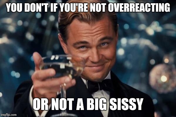 Leonardo Dicaprio Cheers Meme | YOU DON'T IF YOU'RE NOT OVERREACTING OR NOT A BIG SISSY | image tagged in memes,leonardo dicaprio cheers | made w/ Imgflip meme maker