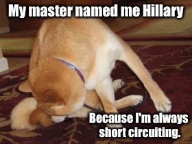 My master named me Hillary Because I'm always short circuiting. | made w/ Imgflip meme maker