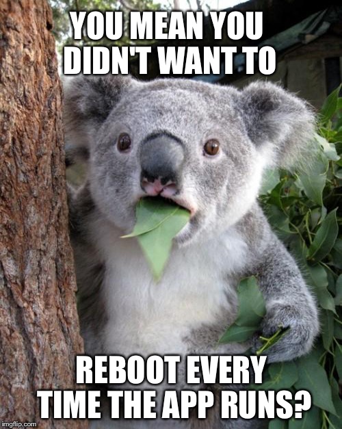YOU MEAN YOU DIDN'T WANT TO REBOOT EVERY TIME THE APP RUNS? | made w/ Imgflip meme maker