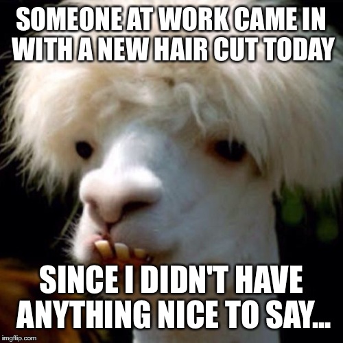 Silence is golden. | SOMEONE AT WORK CAME IN WITH A NEW HAIR CUT TODAY; SINCE I DIDN'T HAVE ANYTHING NICE TO SAY... | image tagged in backwood goat | made w/ Imgflip meme maker