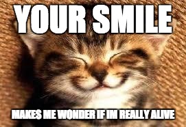 Smiley Cat | YOUR SMILE; MAKES ME WONDER IF IM REALLY ALIVE | image tagged in smiley cat | made w/ Imgflip meme maker