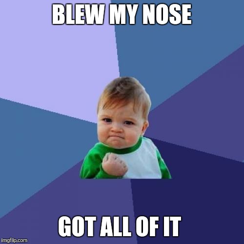 YESSS!!!  | BLEW MY NOSE; GOT ALL OF IT | image tagged in memes,success kid | made w/ Imgflip meme maker