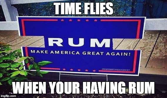 Look Mom!  I fixed your sign. | TIME FLIES; WHEN YOUR HAVING RUM | image tagged in donald trump | made w/ Imgflip meme maker