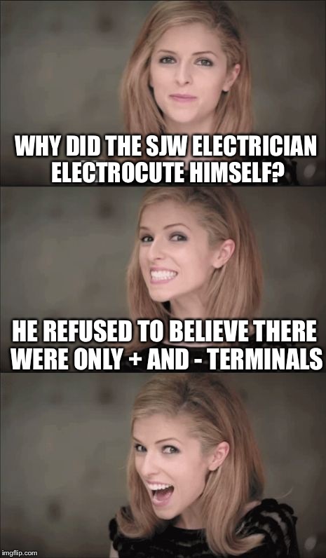 Bad Pun Anna Kendrick | WHY DID THE SJW ELECTRICIAN ELECTROCUTE HIMSELF? HE REFUSED TO BELIEVE THERE WERE ONLY + AND - TERMINALS | image tagged in memes,bad pun anna kendrick | made w/ Imgflip meme maker
