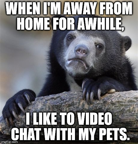 White People Problems | WHEN I'M AWAY FROM HOME FOR AWHILE, I LIKE TO VIDEO CHAT WITH MY PETS. | image tagged in memes,confession bear | made w/ Imgflip meme maker