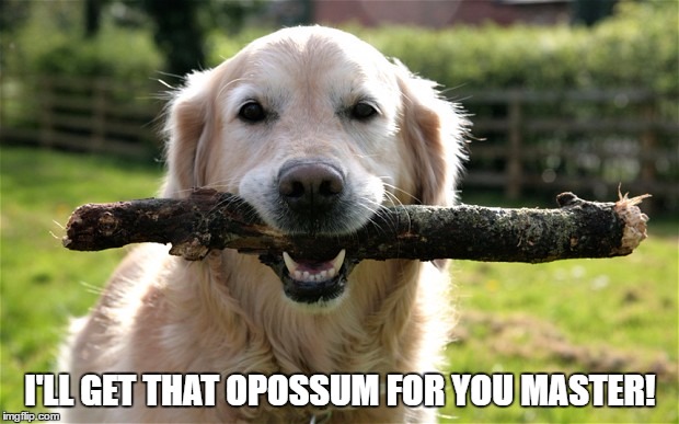 I'LL GET THAT OPOSSUM FOR YOU MASTER! | made w/ Imgflip meme maker