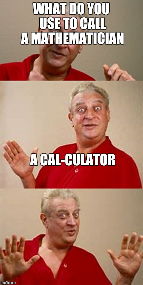 bad pun Dangerfield  | WHAT DO YOU USE TO CALL A MATHEMATICIAN; A CAL-CULATOR | image tagged in bad pun dangerfield | made w/ Imgflip meme maker