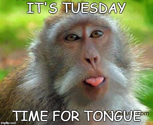 IT'S TUESDAY; TIME FOR TONGUE | image tagged in tongue | made w/ Imgflip meme maker