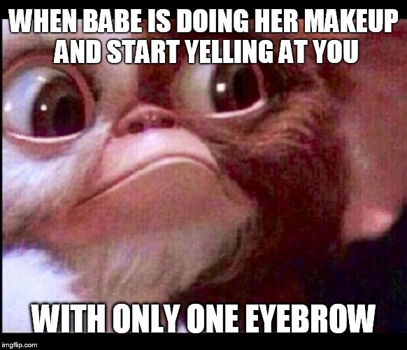 Gizmo | WHEN BABE IS DOING HER MAKEUP AND START YELLING AT YOU; WITH ONLY ONE EYEBROW | image tagged in gizmo | made w/ Imgflip meme maker