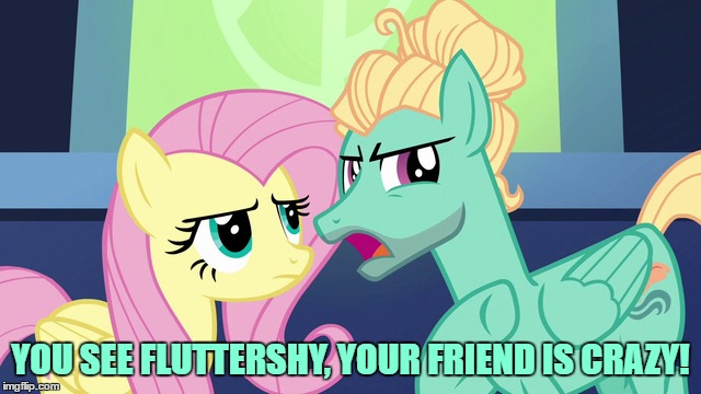 YOU SEE FLUTTERSHY, YOUR FRIEND IS CRAZY! | made w/ Imgflip meme maker