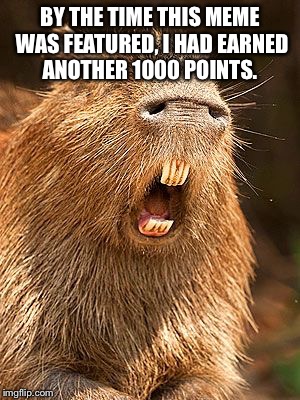 I'm a large rat, I don't give an ass | BY THE TIME THIS MEME WAS FEATURED, I HAD EARNED ANOTHER 1000 POINTS. | image tagged in i'm a large rat i don't give an ass | made w/ Imgflip meme maker