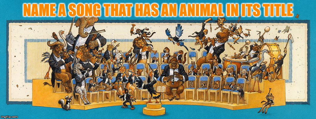 NAME A SONG THAT HAS AN ANIMAL IN ITS TITLE | image tagged in animal orchestra | made w/ Imgflip meme maker