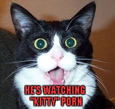 HE'S WATCHING "KITTY" PORN | made w/ Imgflip meme maker