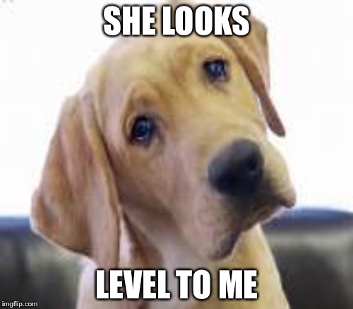 SHE LOOKS LEVEL TO ME | made w/ Imgflip meme maker