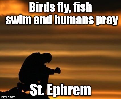Prayer quote | Birds fly, fish swim and humans pray; St. Ephrem | image tagged in prayer | made w/ Imgflip meme maker