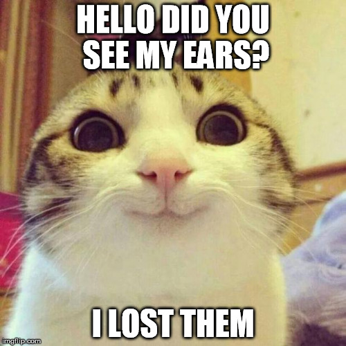 Smiling Cat | HELLO DID YOU SEE MY EARS? I LOST THEM | image tagged in memes,smiling cat | made w/ Imgflip meme maker