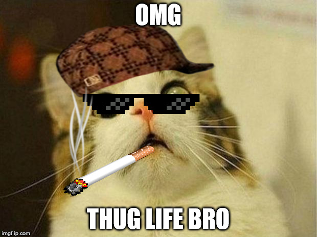 Scared Cat Meme | OMG; THUG LIFE BRO | image tagged in memes,scared cat,scumbag | made w/ Imgflip meme maker