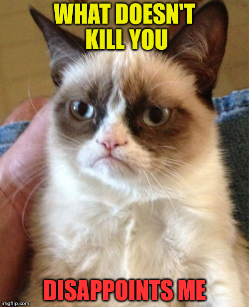 old school grumpy cat | WHAT DOESN'T KILL YOU; DISAPPOINTS ME | image tagged in memes,grumpy cat,funny memes | made w/ Imgflip meme maker