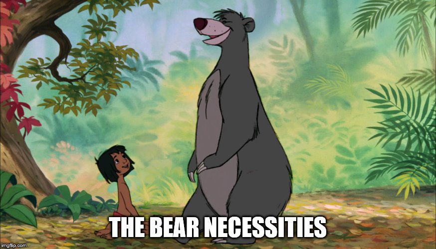 THE BEAR NECESSITIES | made w/ Imgflip meme maker