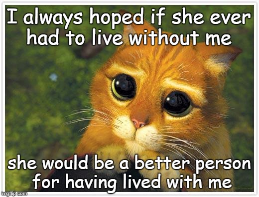 Shrek Cat Meme | I always hoped if she ever had to live without me; she would be a better person for having lived with me | image tagged in memes,shrek cat | made w/ Imgflip meme maker