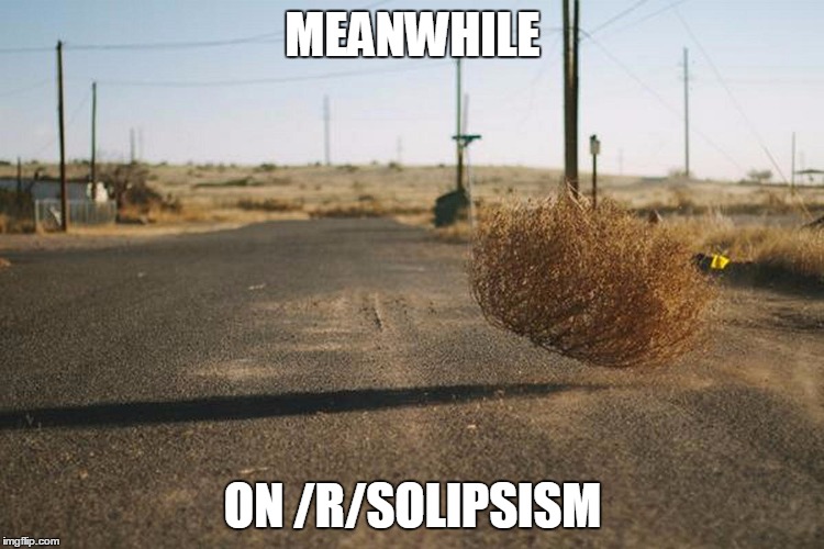 MEANWHILE; ON /R/SOLIPSISM | made w/ Imgflip meme maker