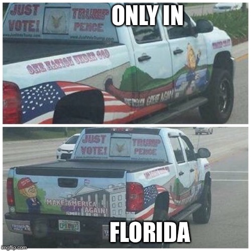 Only in Florida  | ONLY IN; FLORIDA | image tagged in only in florida,donald trump,donald trump approves,donald trumph hair | made w/ Imgflip meme maker
