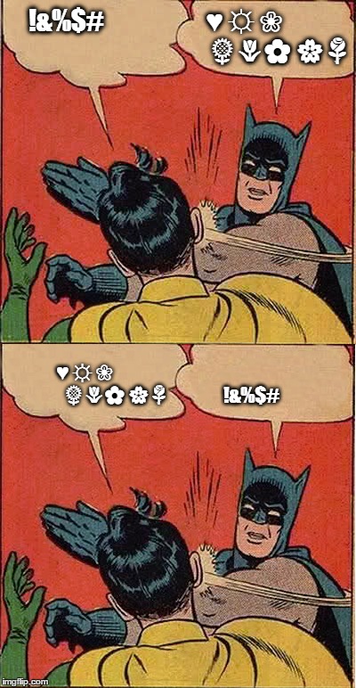 Universal Language Multi-Purpose Batman Slapping Robin | !&%$#                     ♥ ☼ ❀

                                                 🌻🌷🌼 🌸🌹; ♥ ☼ ❀

                                                 🌻🌷🌼 🌸🌹               !&%$# | image tagged in batman slapping robin,memes,funny memes,can't explain that | made w/ Imgflip meme maker