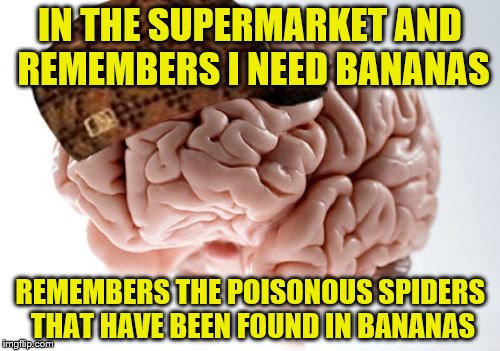 No spiders spotted so far... | IN THE SUPERMARKET AND REMEMBERS I NEED BANANAS; REMEMBERS THE POISONOUS SPIDERS THAT HAVE BEEN FOUND IN BANANAS | image tagged in memes,scumbag brain,bananas,animals,spiders,shopping | made w/ Imgflip meme maker
