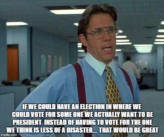 That Would Be Great Meme | IF WE COULD HAVE AN ELECTION IN WHERE WE COULD VOTE FOR SOME ONE WE ACTUALLY WANT TO BE PRESIDENT  INSTEAD OF HAVING TO VOTE FOR THE ONE WE THINK IS LESS OF A DISASTER.... THAT WOULD BE GREAT | image tagged in memes,that would be great | made w/ Imgflip meme maker