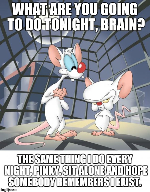 In between naps, anyway. Naps are good. | WHAT ARE YOU GOING TO DO TONIGHT, BRAIN? THE SAME THING I DO EVERY NIGHT, PINKY. SIT ALONE AND HOPE SOMEBODY REMEMBERS I EXIST. | image tagged in pinky and the brain | made w/ Imgflip meme maker