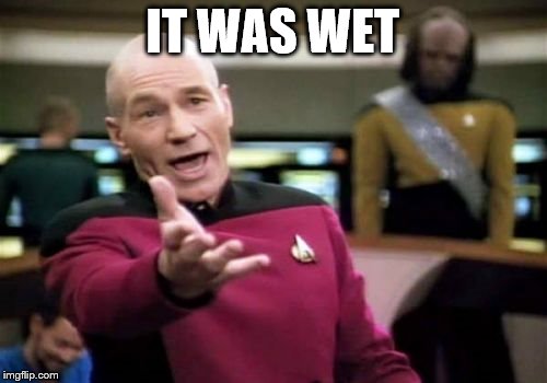 Picard Wtf Meme | IT WAS WET | image tagged in memes,picard wtf | made w/ Imgflip meme maker