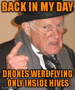 Back In My Day | BACK IN MY DAY; DRONES WERE FLYING ONLY INSIDE HIVES | image tagged in memes,back in my day | made w/ Imgflip meme maker