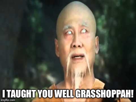Kung Fu Master Po | I TAUGHT YOU WELL GRASSHOPPAH! | image tagged in kung fu master po | made w/ Imgflip meme maker