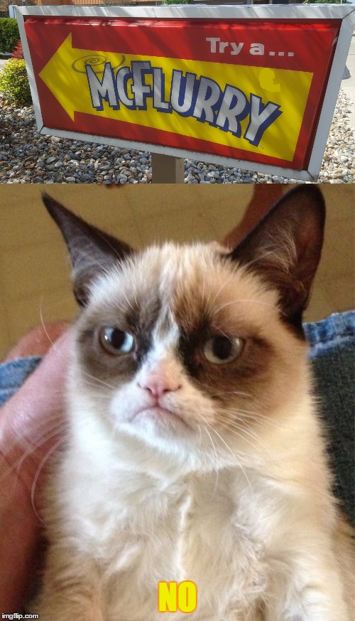 I actually like McFlurries | NO | image tagged in grumpy cat,ice cream | made w/ Imgflip meme maker