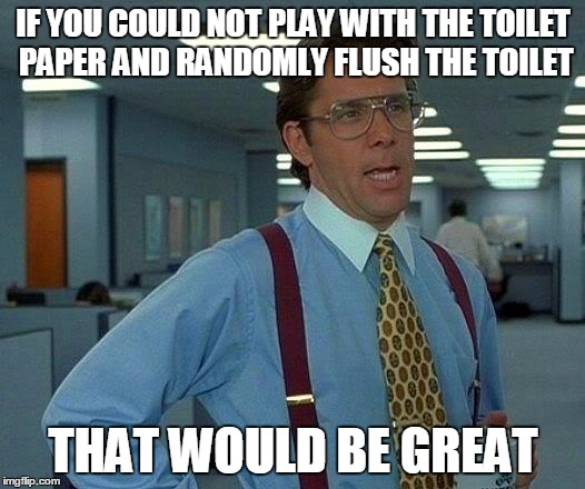 That Would Be Great Meme | IF YOU COULD NOT PLAY WITH THE TOILET PAPER AND RANDOMLY FLUSH THE TOILET THAT WOULD BE GREAT | image tagged in memes,that would be great | made w/ Imgflip meme maker