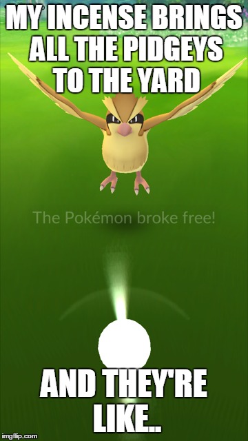 MY INCENSE BRINGS ALL THE PIDGEYS TO THE YARD; AND THEY'RE LIKE.. | image tagged in pokemon go,pokemon,fuckyoupidgey | made w/ Imgflip meme maker