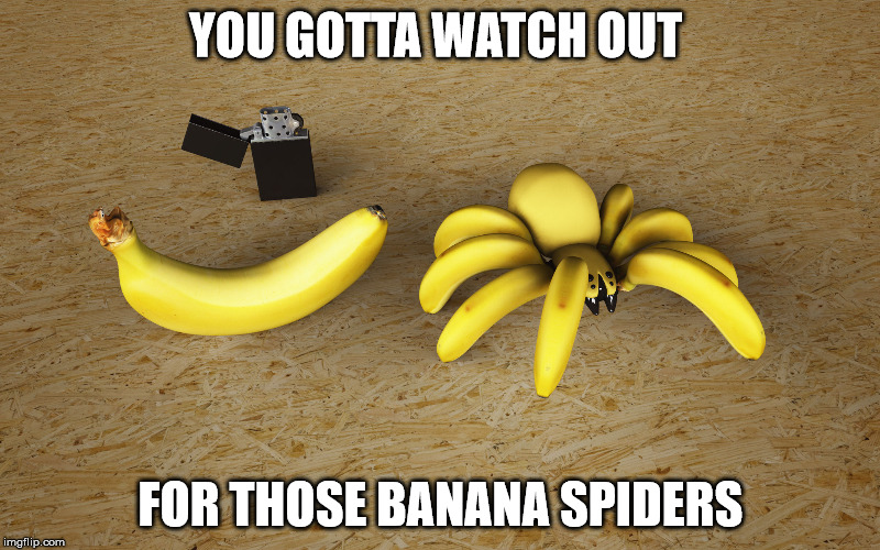 YOU GOTTA WATCH OUT FOR THOSE BANANA SPIDERS | made w/ Imgflip meme maker