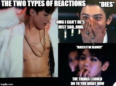THE TWO TYPES OF REACTIONS; *DIES*; OMG I CAN'T HE'S JUST SOO..OMG; *TAKES IT IN SLOWLY*; THE THINGS I COULD DO TO YOU RIGHT NOW | image tagged in kpop | made w/ Imgflip meme maker
