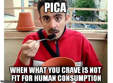 Pica | PICA; WHEN WHAT YOU CRAVE IS NOT FIT FOR HUMAN CONSUMPTION | image tagged in pica,dirt,pot,troll,meme | made w/ Imgflip meme maker