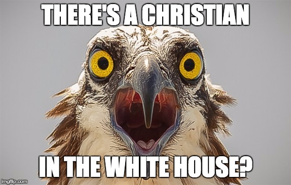 say what bird | THERE'S A CHRISTIAN IN THE WHITE HOUSE? | image tagged in say what bird | made w/ Imgflip meme maker