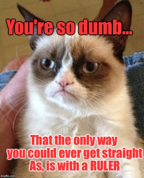 Grumpy Cat | You're so dumb... That the only way you could ever get straight As, is with a RULER | image tagged in memes,grumpy cat | made w/ Imgflip meme maker