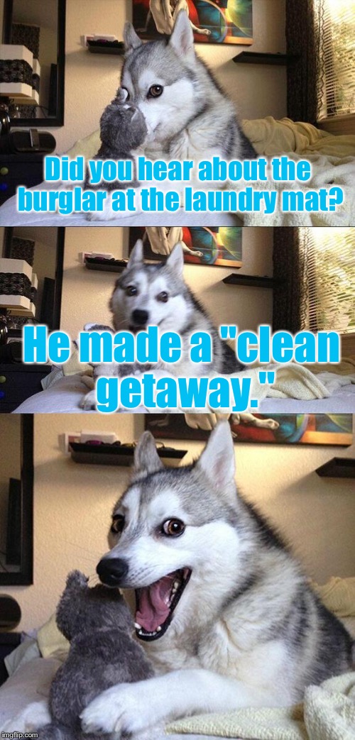 Bad Pun Dog Meme | Did you hear about the burglar at the laundry mat? He made a "clean getaway." | image tagged in memes,bad pun dog | made w/ Imgflip meme maker