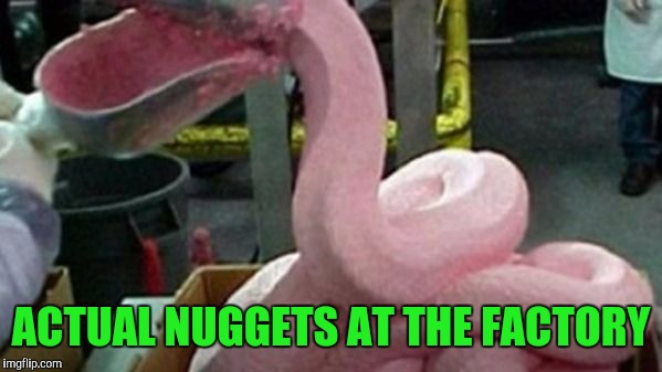 ACTUAL NUGGETS AT THE FACTORY | made w/ Imgflip meme maker