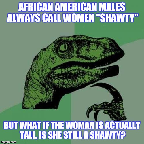 Philosoraptor Meme | AFRICAN AMERICAN MALES ALWAYS CALL WOMEN "SHAWTY"; BUT WHAT IF THE WOMAN IS ACTUALLY TALL, IS SHE STILL A SHAWTY? | image tagged in memes,philosoraptor | made w/ Imgflip meme maker