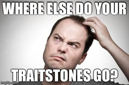 Confused guy | WHERE ELSE DO YOUR; TRAITSTONES GO? | image tagged in confused guy | made w/ Imgflip meme maker