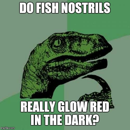 This is a reference to the "SpongeBob SquarePants" episode "Graveyard Shift". | DO FISH NOSTRILS; REALLY GLOW RED IN THE DARK? | image tagged in memes,philosoraptor,fish,spongebob squarepants,nostril | made w/ Imgflip meme maker